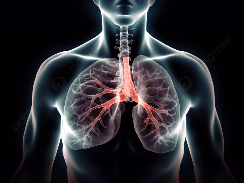 Lung CT Scan