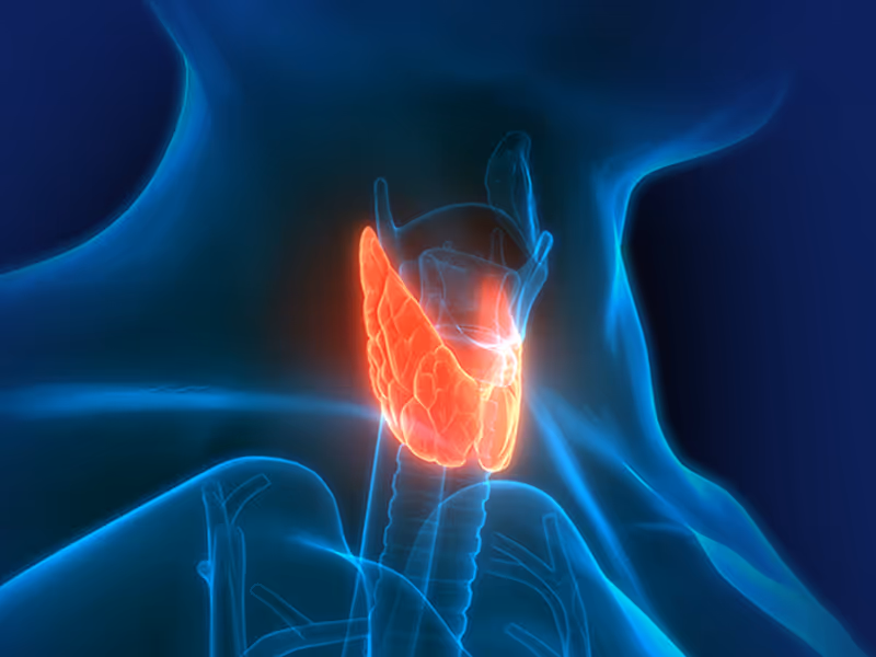 Ultrasound Thyroid Screening